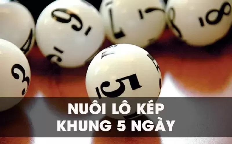 Hướng dẫn cách vào tiền lô khung 5 ngày